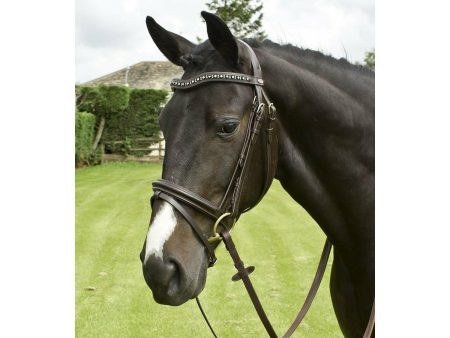 Whitaker Lynton Flash Bridle C W Spare Browband Black Online now