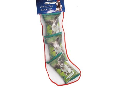 Companion Christmas Treat Stocking Fashion