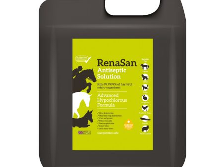 RenaSan Antiseptic Solution - 5 Lt Online Hot Sale