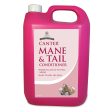 Carr & Day & Martin Canter Mane & Tail Conditioner Online now